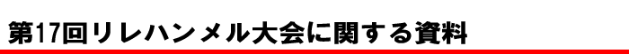 第17回リレハンメル大会に関する資料