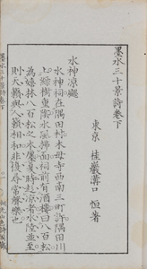 NO.36画像3