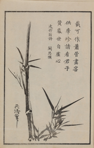 NO.43画像3
