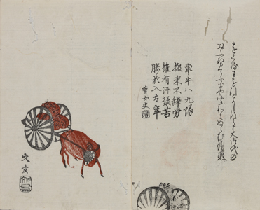 NO.46画像2