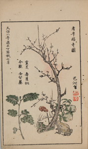 NO.65画像3