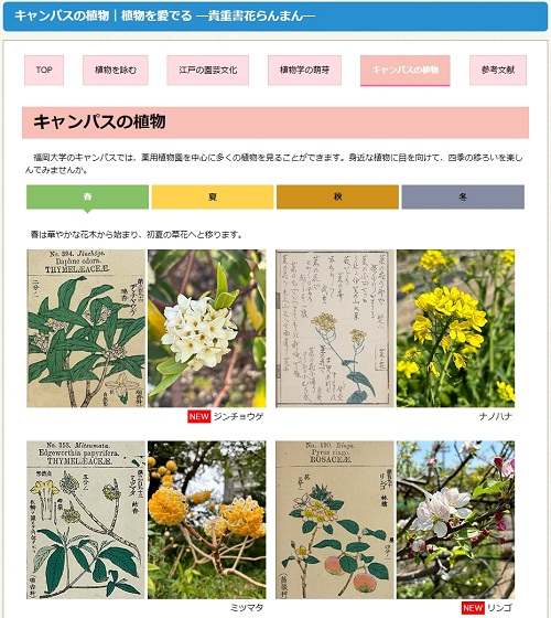 「キャンパスの植物」イメージ