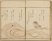魚貝譜　見開き写真